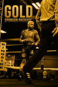 Gold sponsor package